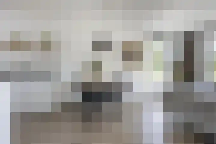Ringelwikke 12 Heiloo thumbnail 8