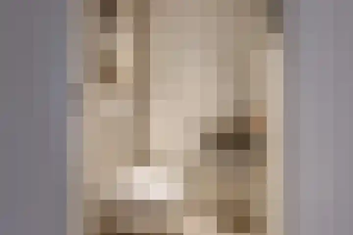 Ringelwikke 2 Heiloo thumbnail 11