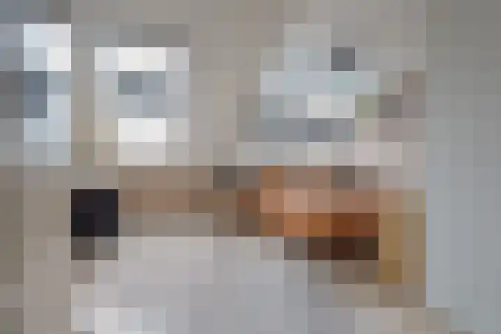 Ringelwikke 2 Heiloo thumbnail 13