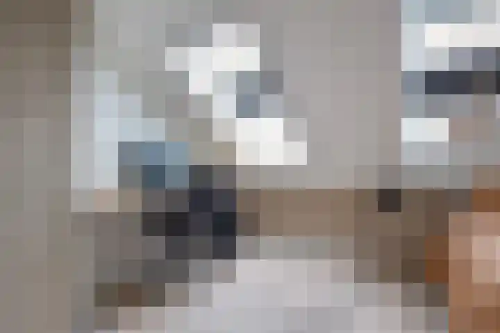 Ringelwikke 2 Heiloo thumbnail 15