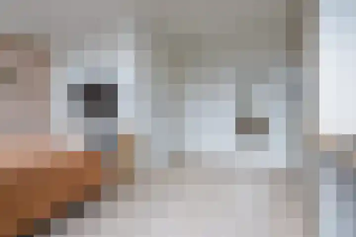 Ringelwikke 2 Heiloo thumbnail 16