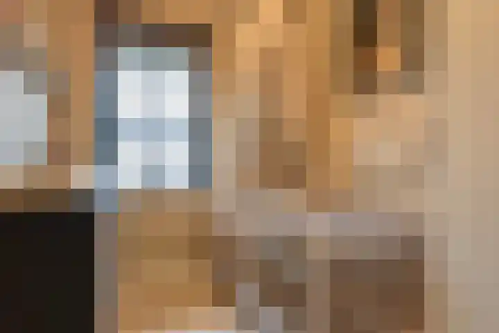 Ringelwikke 2 Heiloo thumbnail 17