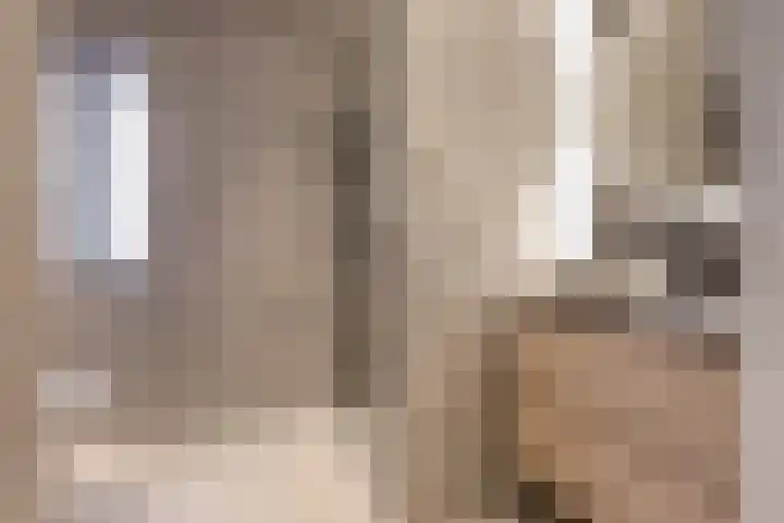 Ringelwikke 2 Heiloo thumbnail 18