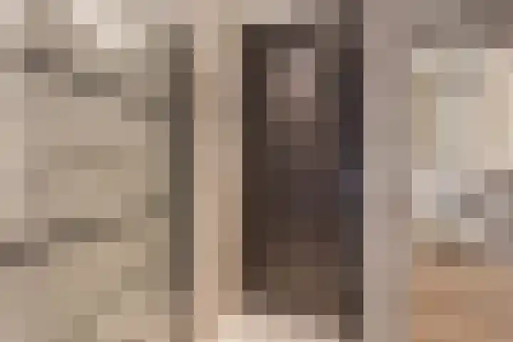 Ringelwikke 2 Heiloo thumbnail 21