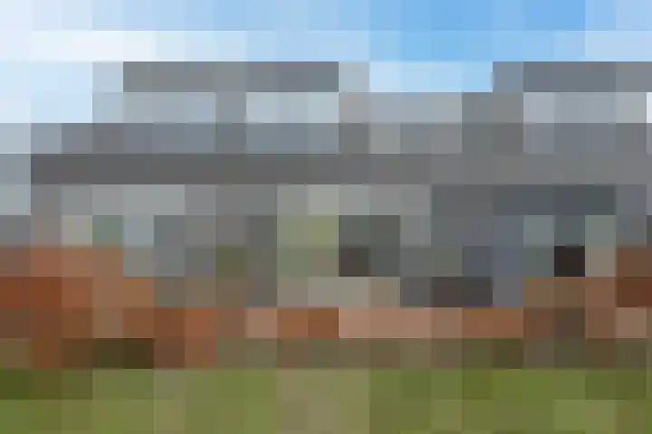 Ringelwikke 2 Heiloo thumbnail 22
