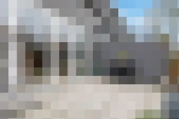 Ringelwikke 2 Heiloo thumbnail 24