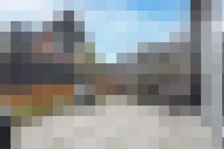 Ringelwikke 2 Heiloo thumbnail 25