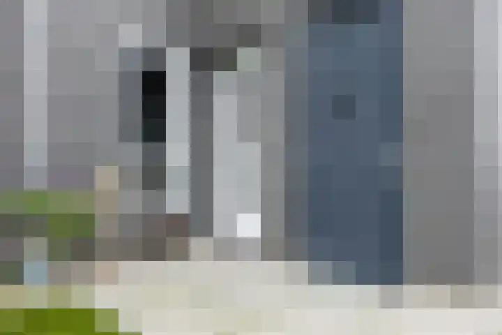 Ringelwikke 2 Heiloo thumbnail 26
