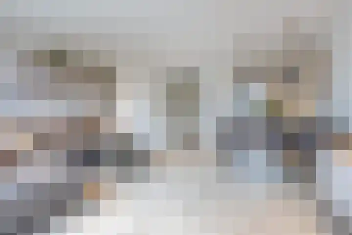 Ringelwikke 2 Heiloo thumbnail 4