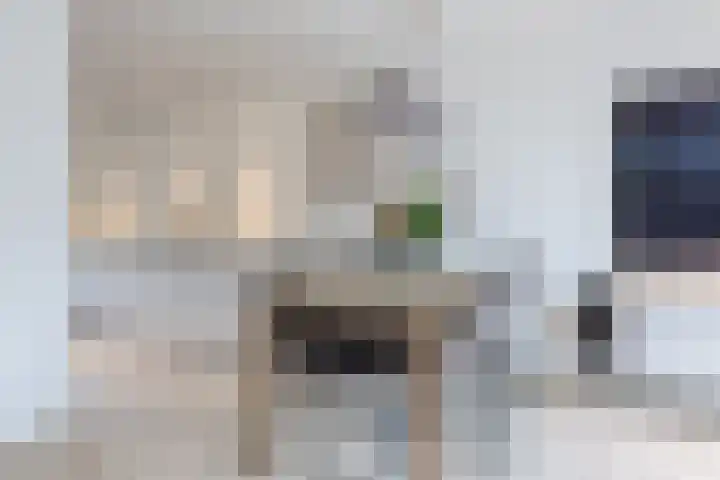 Ringelwikke 2 Heiloo thumbnail 6