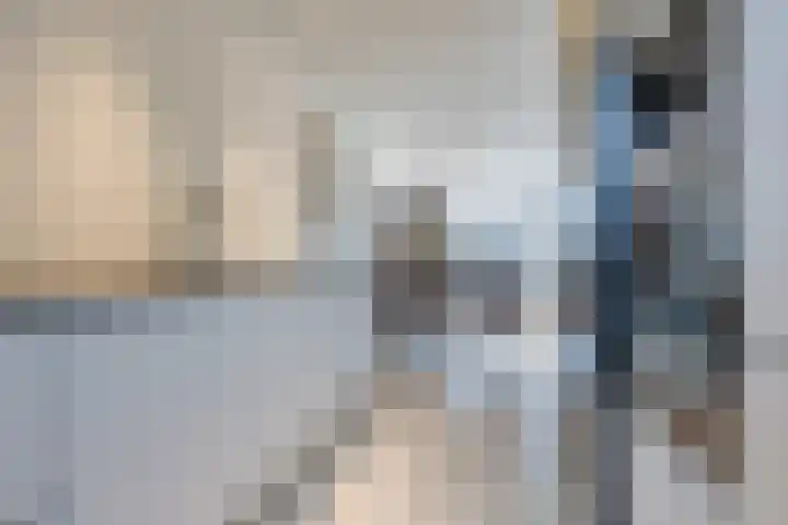 Ringelwikke 2 Heiloo thumbnail 8