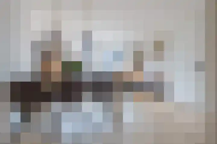 Ringelwikke 2 Heiloo thumbnail 9