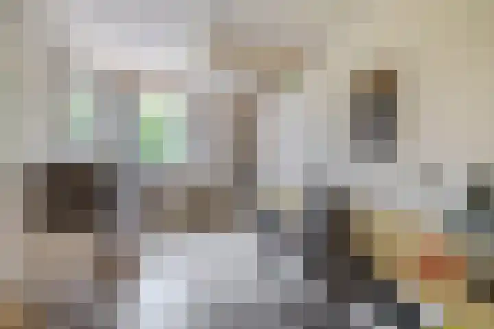 Ringelwikke 27 Tegelen thumbnail 12