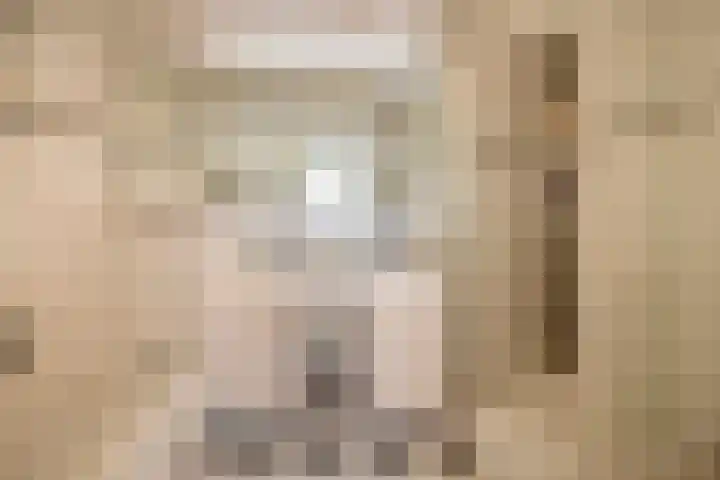 Ringelwikke 27 Tegelen thumbnail 14