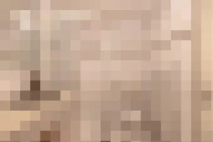 Ringelwikke 27 Tegelen thumbnail 15