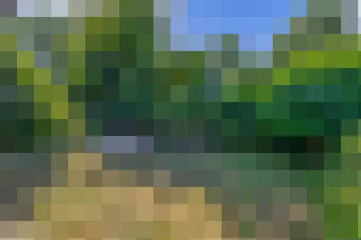 Ringelwikke 27 Tegelen thumbnail 24