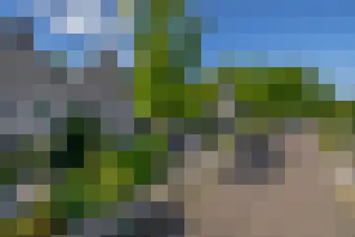Ringelwikke 27 Tegelen thumbnail 25