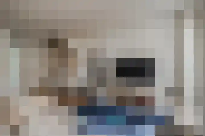 Ringelwikke 9 Heiloo thumbnail 17