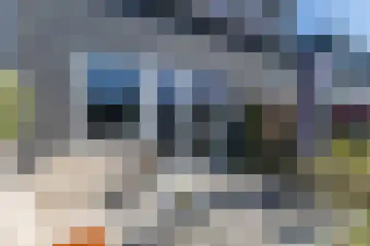 Ringelwikke 9 Heiloo thumbnail 18