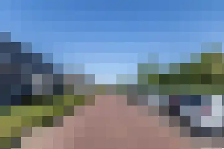 Ringelwikke 9 Heiloo thumbnail 22