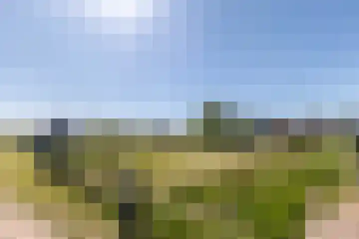 Ringelwikke 9 Heiloo thumbnail 24