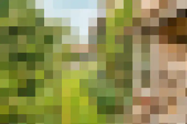 Ringelwikke 9 Heiloo thumbnail 28