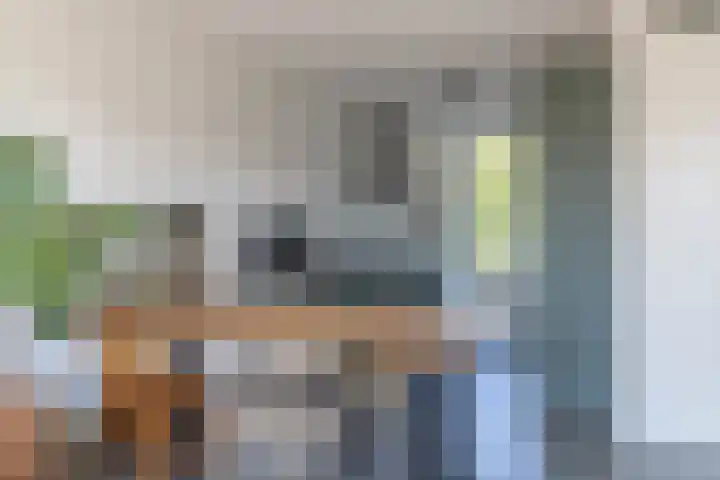 Ringelwikke 9 Heiloo thumbnail 7