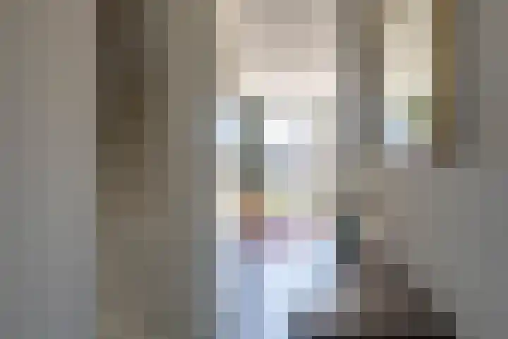 Ringelwikke 9 Heiloo thumbnail 9