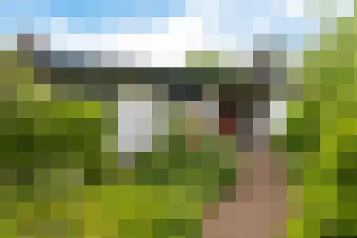 Ringenum 14 in Delfzijl