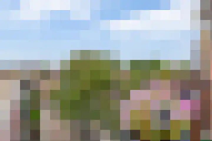 Ringersplaats 112 Rotterdam thumbnail 21