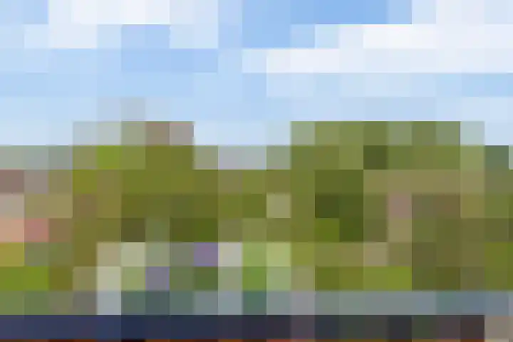 Ringersplaats 112 Rotterdam thumbnail 28