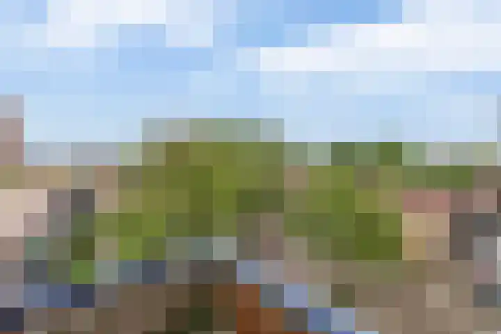 Ringersplaats 112 Rotterdam thumbnail 29