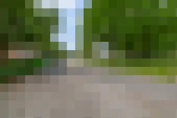 Ringersplaats 112 Rotterdam thumbnail 30