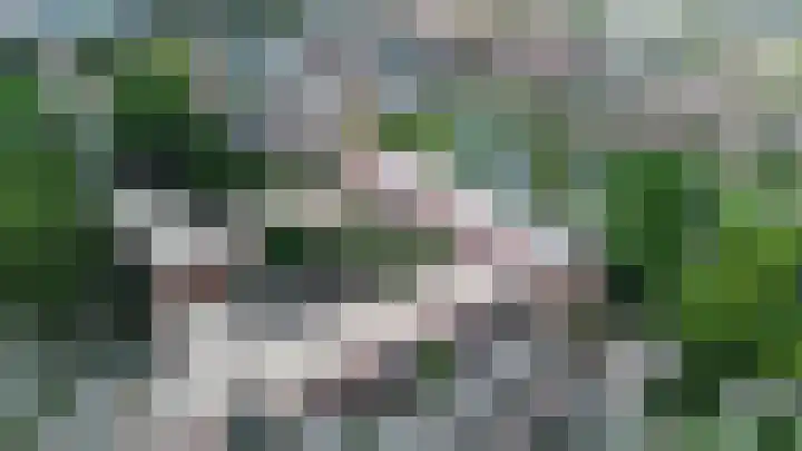 Ringersplaats 112 Rotterdam thumbnail 38