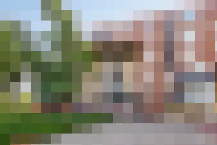 Ringersplaats 86 Rotterdam thumbnail 27