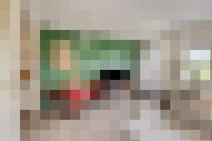 Ringersplaats 86 Rotterdam thumbnail 8