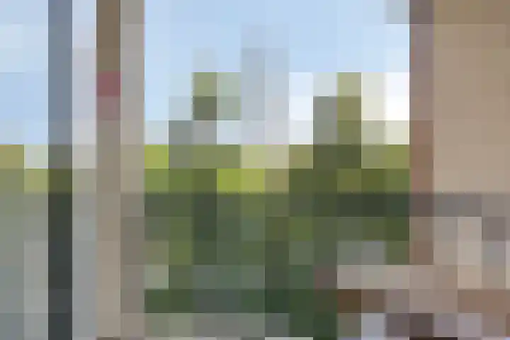 Ringersplaats 86 Rotterdam thumbnail 9