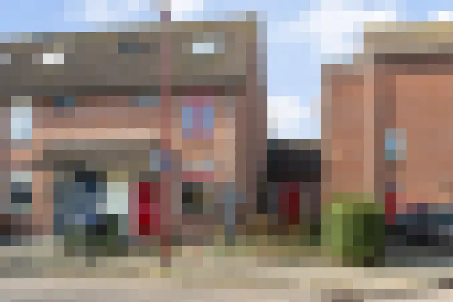 Ringfazant 21 in Nieuwegein