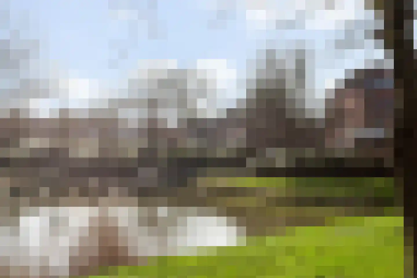 Ringfazant 21 Nieuwegein thumbnail 14