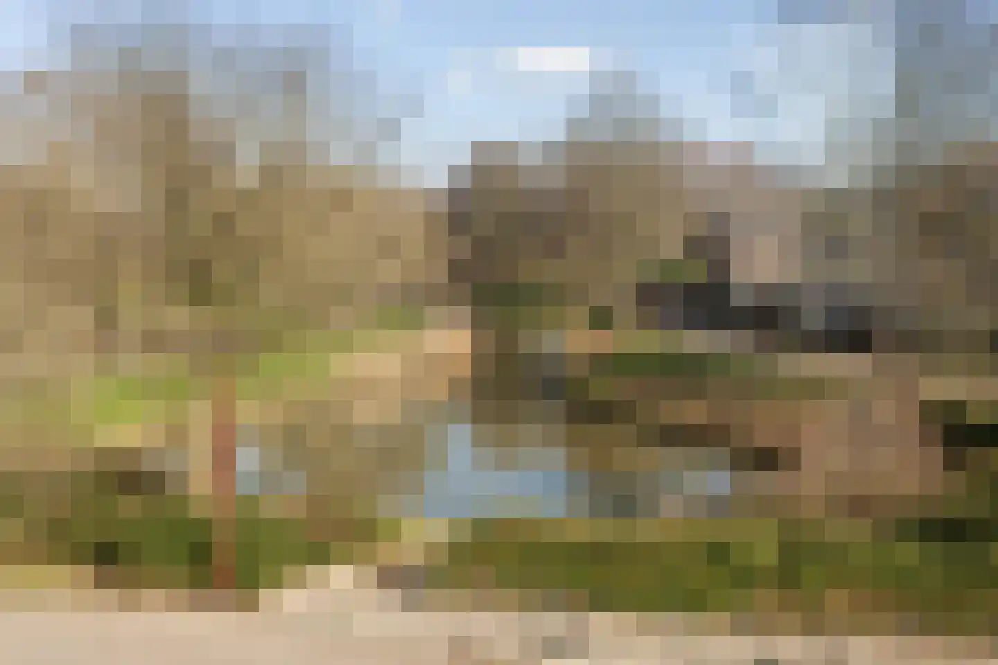 Ringfazant 21 Nieuwegein thumbnail 15