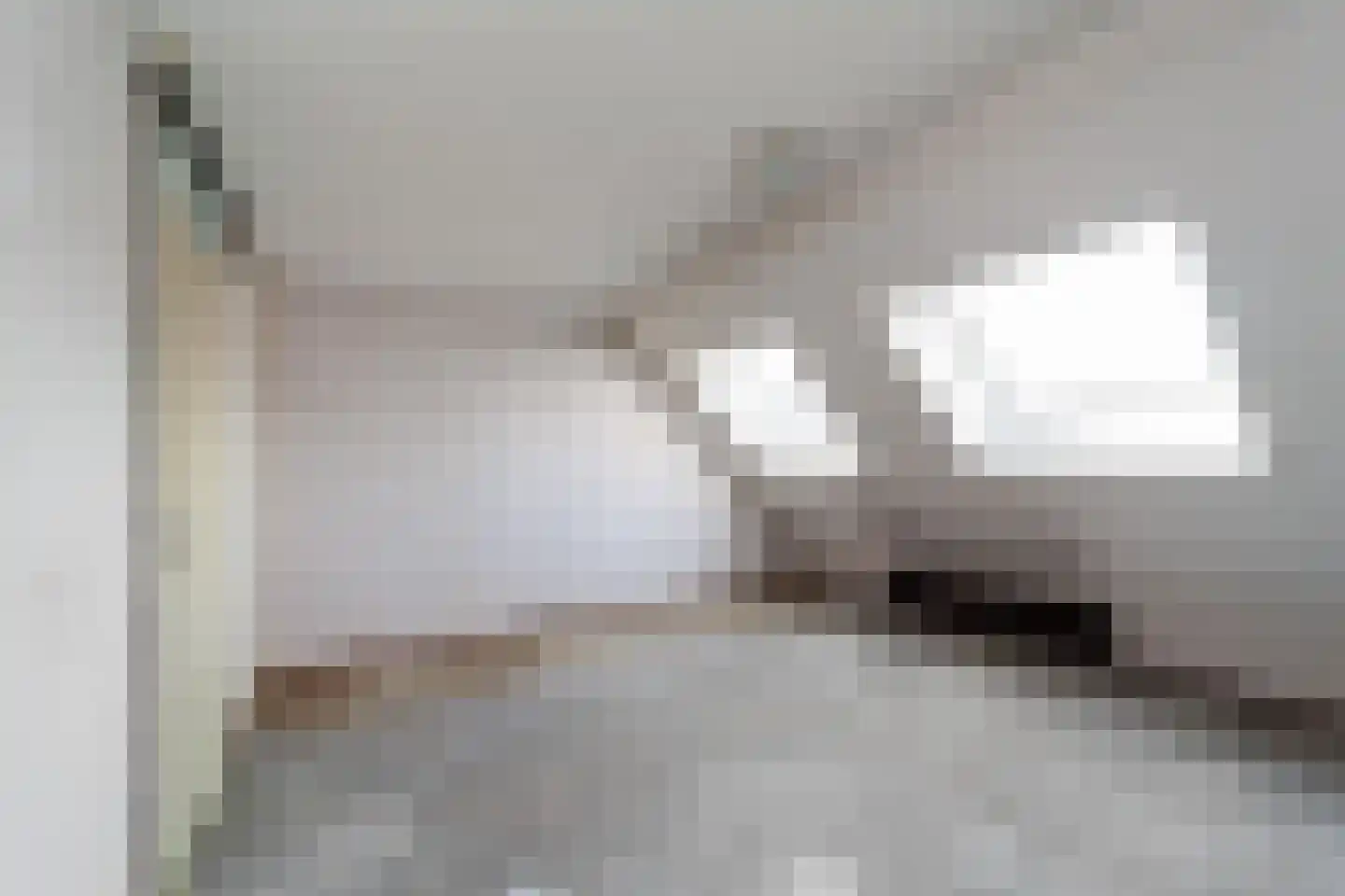 Ringfazant 21 Nieuwegein thumbnail 24