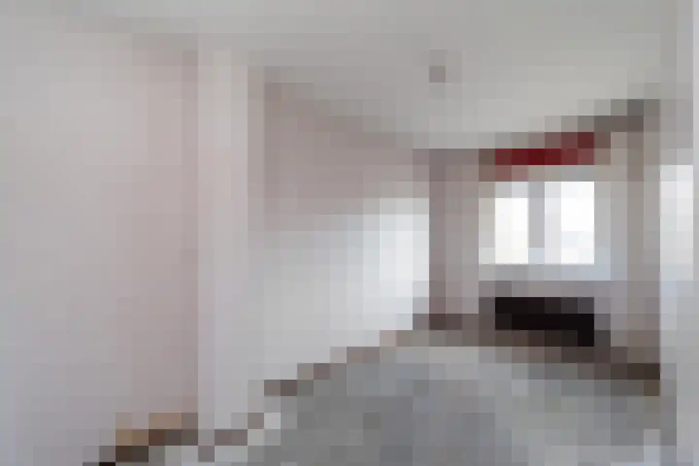 Ringfazant 21 Nieuwegein thumbnail 9