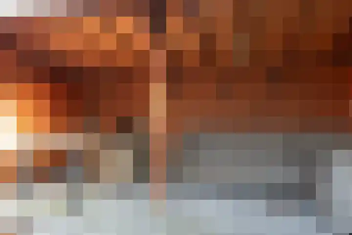 Ringfeart 25 Sintjohannesga thumbnail 11