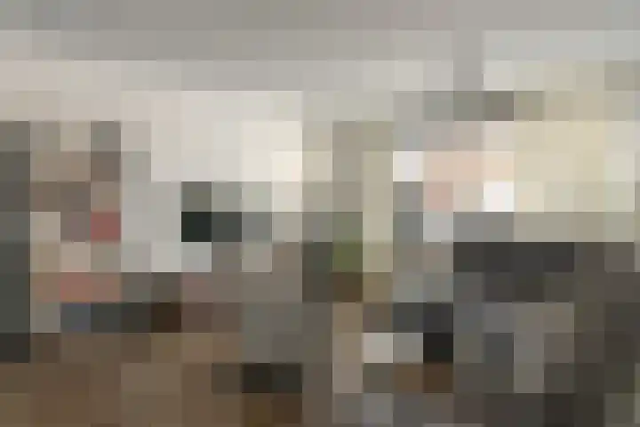 Ringfeart 25 Sintjohannesga thumbnail 14