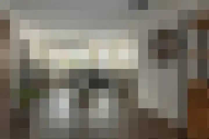 Ringfeart 25 Sintjohannesga thumbnail 17