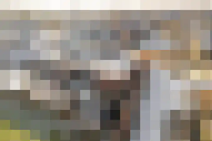 Ringfeart 25 Sintjohannesga thumbnail 8
