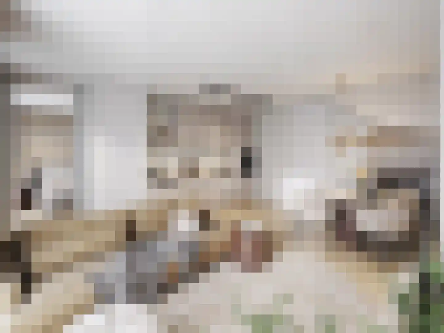 Ringfeartstrjitte 14 Wergea foto 3