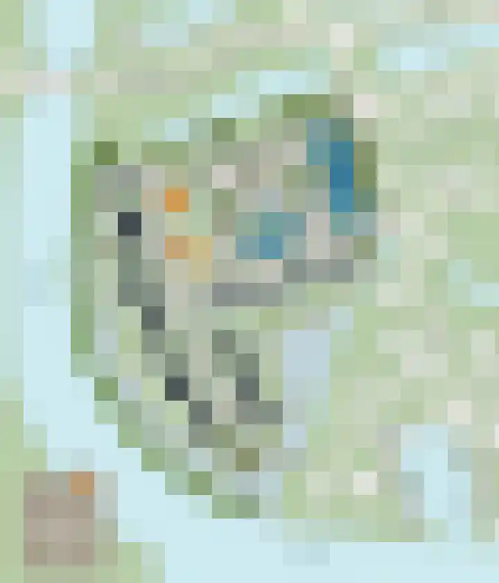 Ringfeartstrjitte 3 Wergea thumbnail 5