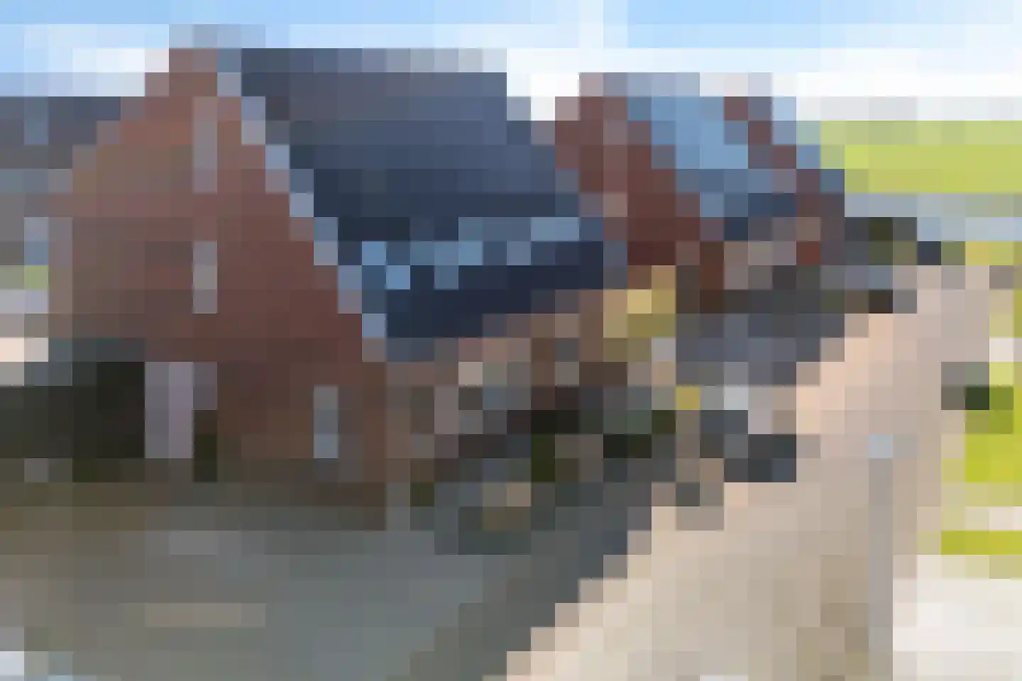 Ringfeartstrjitte 6 a Wergea thumbnail 4