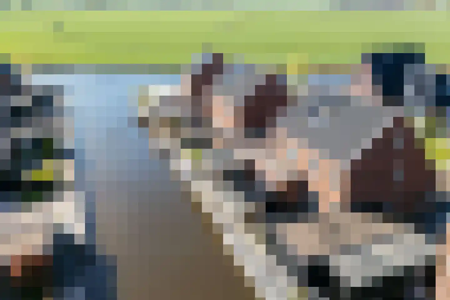 Ringfeartstrjitte 6 a Wergea thumbnail 41